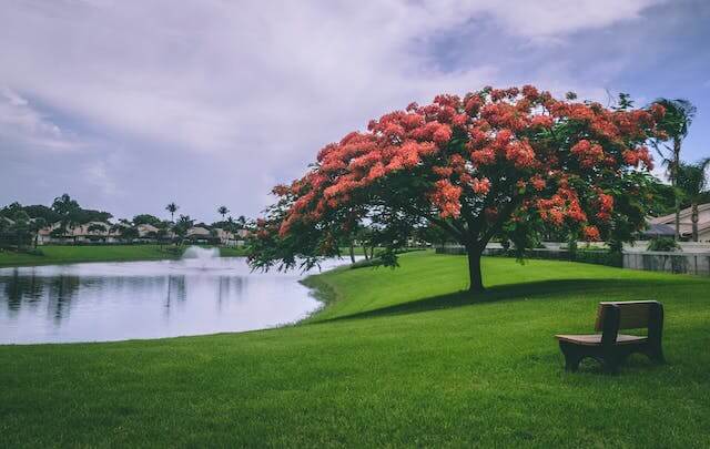 Parks in Mililani Town